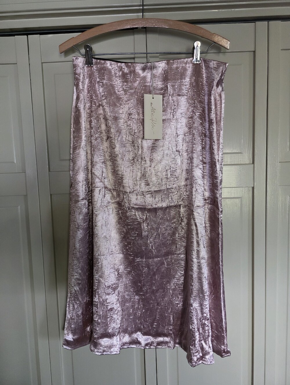 NWT Allie Rose Pink Silk Skirt Size L